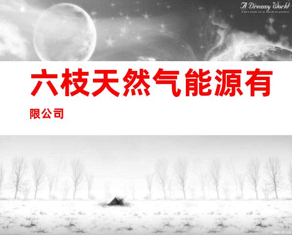六枝天然气能源有限公司