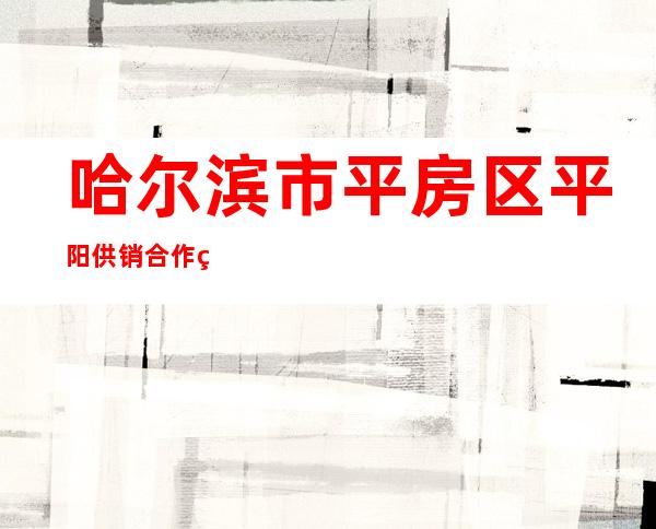 哈尔滨市平房区平阳供销合作社
