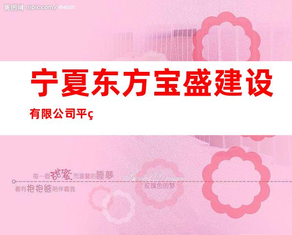 宁夏东方宝盛建设有限公司平罗分公司