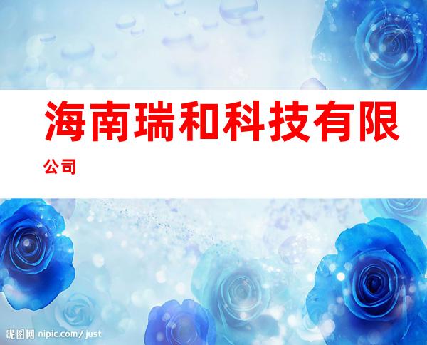 海南瑞和科技有限公司
