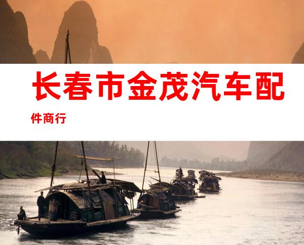 长春市金茂汽车配件商行