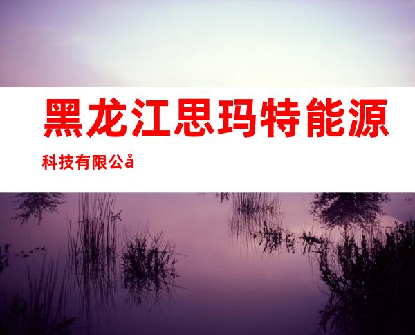 黑龙江思玛特能源科技有限公司